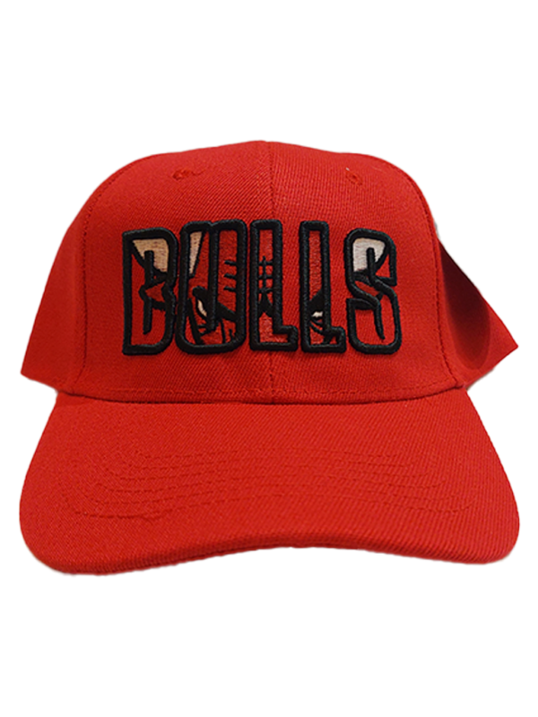 Gorra Bulls