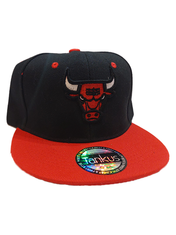 Gorra chicago bulls